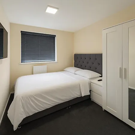 Stylish & Brand-new 2025