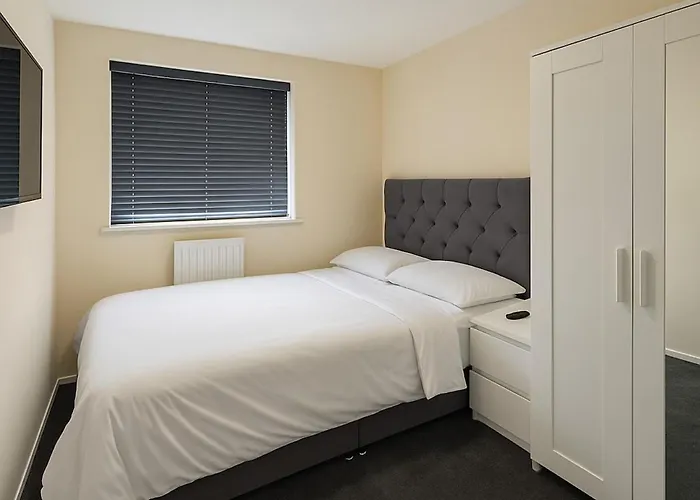 Stylish & Brand-new 2025